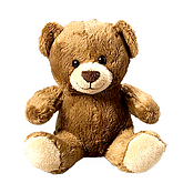 Teddy